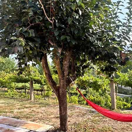 Casa Da Palheira Casa vacanze